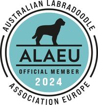 ALAEU logo Official Member 2024