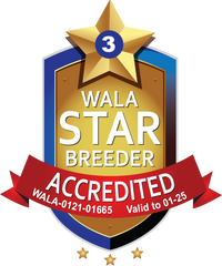 Accredited Star Logo Deb&rsquo;s Australian Labradoodles